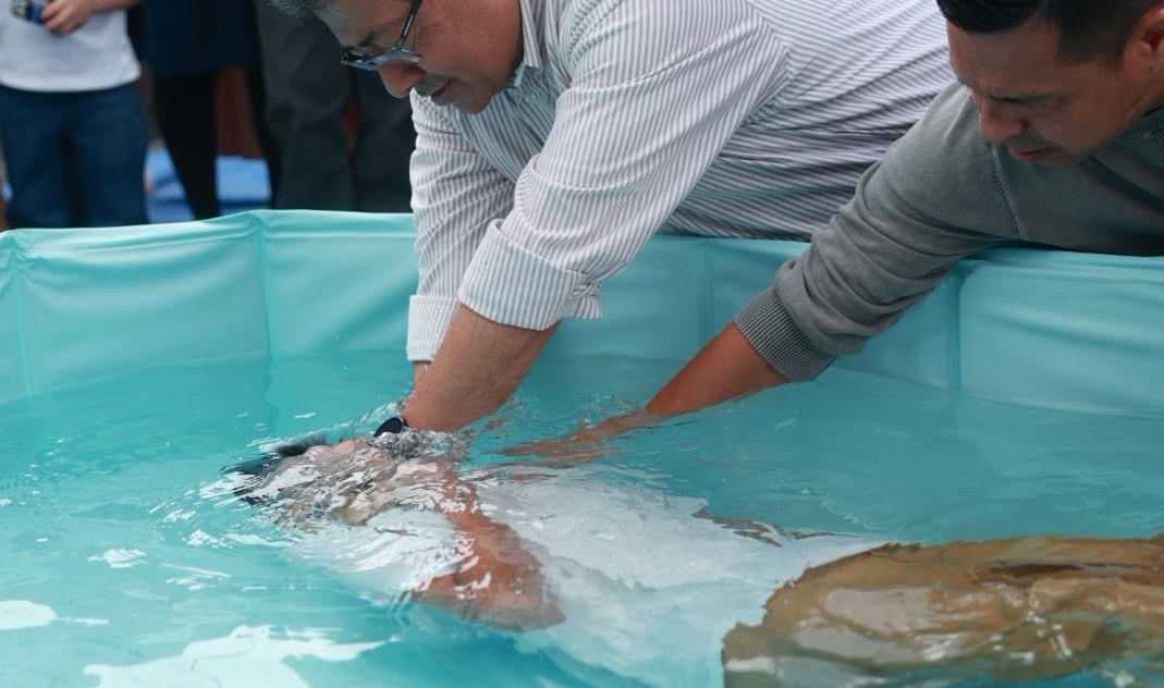 Bautismos / Baptisms
